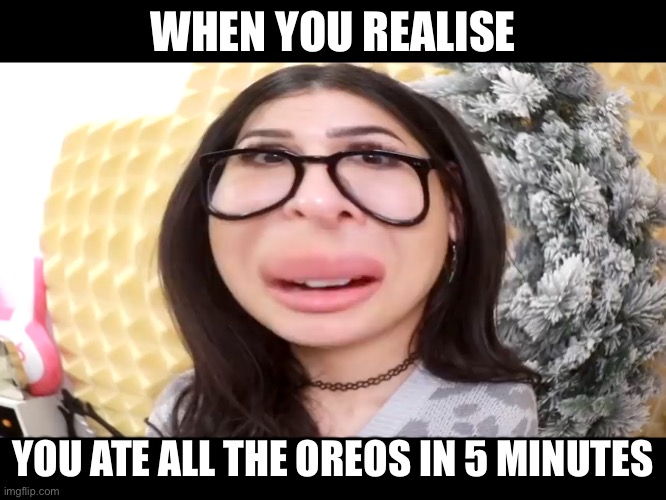 Lol me if I lived by myself | WHEN YOU REALISE; YOU ATE ALL THE OREOS IN 5 MINUTES | image tagged in sssniperwolfs big head,lol,oreos,yall got any more of,dem dank memes,im running out of funny stuff | made w/ Imgflip meme maker
