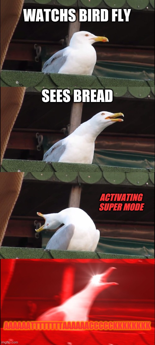 Inhaling Seagull Meme | WATCHS BIRD FLY; SEES BREAD; ACTIVATING SUPER MODE; AAAAAATTTTTTTTAAAAAACCCCCKKKKKKKK | image tagged in memes,inhaling seagull | made w/ Imgflip meme maker