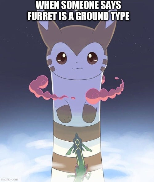 NOT A GROUND TYPE!! |  WHEN SOMEONE SAYS FURRET IS A GROUND TYPE | image tagged in giant furret | made w/ Imgflip meme maker