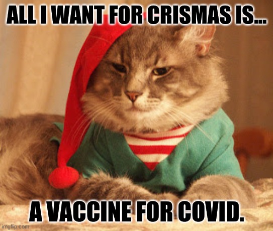all I want for cristmas is a vaccinnnnnnne *sung to the tune of all i want for crismas is you |  ALL I WANT FOR CRISMAS IS... A VACCINE FOR COVID. | image tagged in all i want for christmas | made w/ Imgflip meme maker