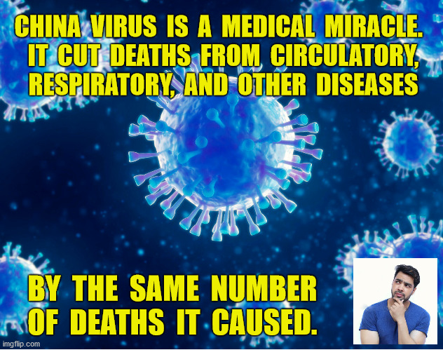 The China virus is really a medical miracle, reducing deaths from many causes, even from accidents. | CHINA  VIRUS  IS  A  MEDICAL  MIRACLE.  
IT  CUT  DEATHS  FROM  CIRCULATORY,  RESPIRATORY,  AND  OTHER  DISEASES; BY  THE  SAME  NUMBER    OF  DEATHS  IT  CAUSED. | image tagged in coronavirus,china virus,cdc,quarantine,death,dr fauci | made w/ Imgflip meme maker