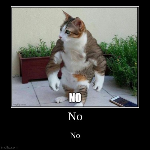 No | image tagged in funny,demotivationals | made w/ Imgflip demotivational maker