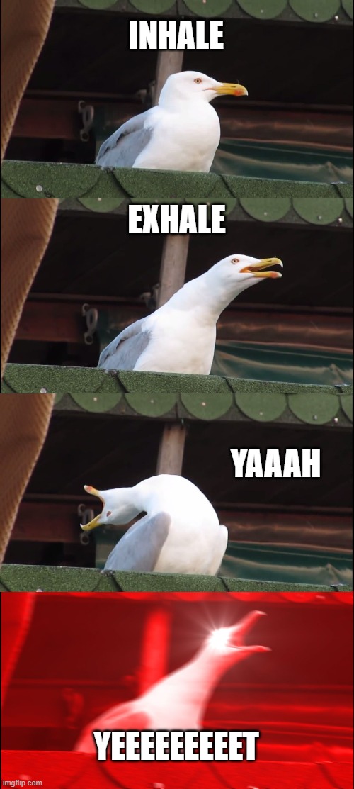 Inhaling Seagull Meme | INHALE; EXHALE; YAAAH; YEEEEEEEEET | image tagged in memes,inhaling seagull | made w/ Imgflip meme maker