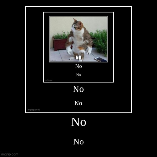 No | image tagged in funny,demotivationals | made w/ Imgflip demotivational maker