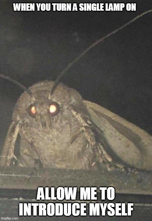 Moths be like |  WHEN YOU TURN A SINGLE LAMP ON; ALLOW ME TO INTRODUCE MYSELF | image tagged in moth | made w/ Imgflip meme maker