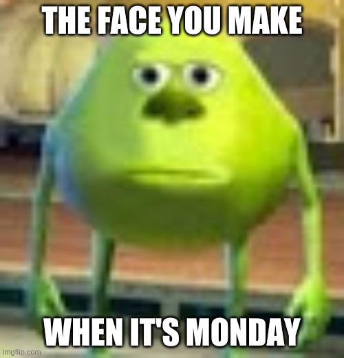 Sully Wazowski |  THE FACE YOU MAKE; WHEN IT'S MONDAY | image tagged in sully wazowski | made w/ Imgflip meme maker