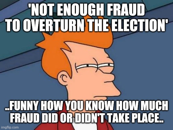 Somebody stole $50 from your wallet? There wasn't even 50 in there!.. | 'NOT ENOUGH FRAUD TO OVERTURN THE ELECTION'; ..FUNNY HOW YOU KNOW HOW MUCH FRAUD DID OR DIDN'T TAKE PLACE.. | image tagged in memes,futurama fry | made w/ Imgflip meme maker