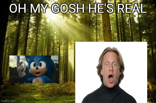 sunlit forest | OH MY GOSH HE'S REAL | image tagged in sunlit forest | made w/ Imgflip meme maker