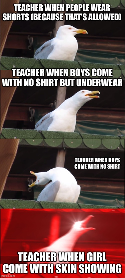 Inhaling Seagull | TEACHER WHEN PEOPLE WEAR SHORTS (BECAUSE THAT’S ALLOWED); TEACHER WHEN BOYS COME WITH NO SHIRT BUT UNDERWEAR; TEACHER WHEN BOYS COME WITH NO SHIRT; TEACHER WHEN GIRL COME WITH SKIN SHOWING | image tagged in memes,inhaling seagull | made w/ Imgflip meme maker