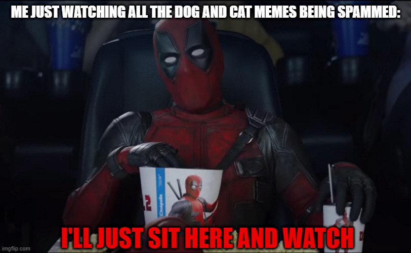 Yeah, I'm gonna see how long it takes before someone says to stop. | ME JUST WATCHING ALL THE DOG AND CAT MEMES BEING SPAMMED:; I'LL JUST SIT HERE AND WATCH | image tagged in deadpool,imgflip,imgflip users,spammers,marvel,marvel comics | made w/ Imgflip meme maker
