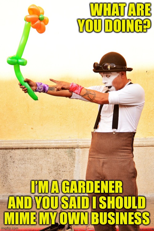 My Mime Meme | WHAT ARE YOU DOING? I’M A GARDENER AND YOU SAID I SHOULD MIME MY OWN BUSINESS | image tagged in mime,gardener,mind your own business,flower,balloon | made w/ Imgflip meme maker