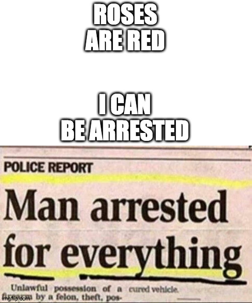look at the tags... but no one reads the title, am i wrong? | I CAN BE ARRESTED; ROSES ARE RED | image tagged in roses are red,i can do anything,and,get,arrested | made w/ Imgflip meme maker