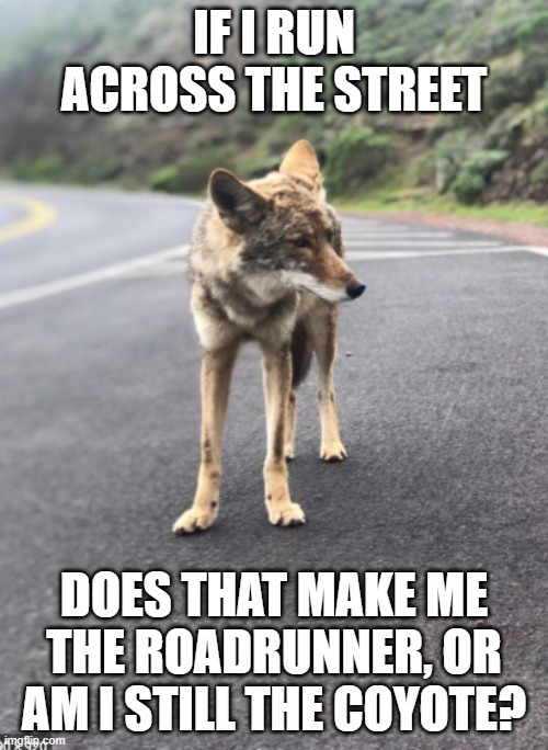Road Coyote | IF I RUN ACROSS THE STREET; DOES THAT MAKE ME THE ROADRUNNER, OR AM I STILL THE COYOTE? | image tagged in road coyote | made w/ Imgflip meme maker