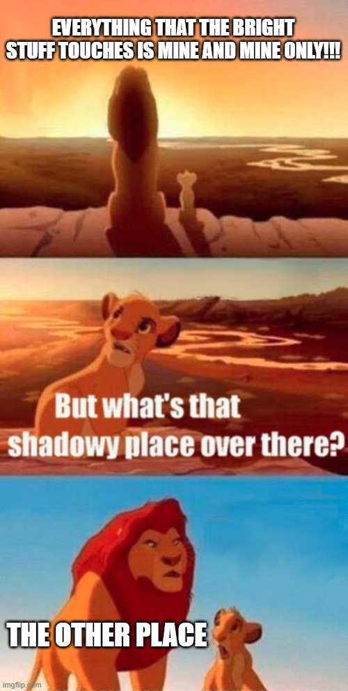 Simba Shadowy Place | EVERYTHING THAT THE BRIGHT STUFF TOUCHES IS MINE AND MINE ONLY!!! THE OTHER PLACE | image tagged in memes,simba shadowy place | made w/ Imgflip meme maker
