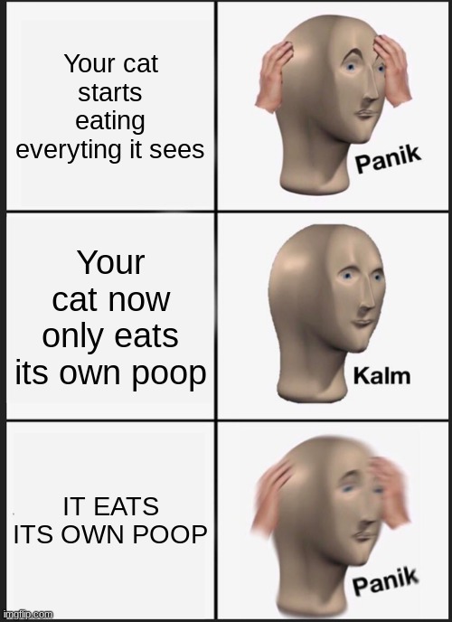 Panik Kalm Panik | Your cat starts eating everyting it sees; Your cat now only eats its own poop; IT EATS ITS OWN POOP | image tagged in memes,panik kalm panik | made w/ Imgflip meme maker