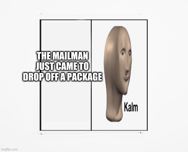 THE MAILMAN JUST CAME TO DROP OFF A PACKAGE | made w/ Imgflip meme maker