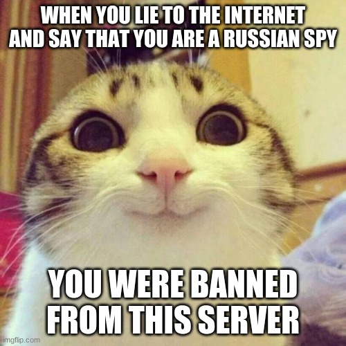 Smiling Cat | WHEN YOU LIE TO THE INTERNET AND SAY THAT YOU ARE A RUSSIAN SPY; YOU WERE BANNED FROM THIS SERVER | image tagged in memes,smiling cat | made w/ Imgflip meme maker