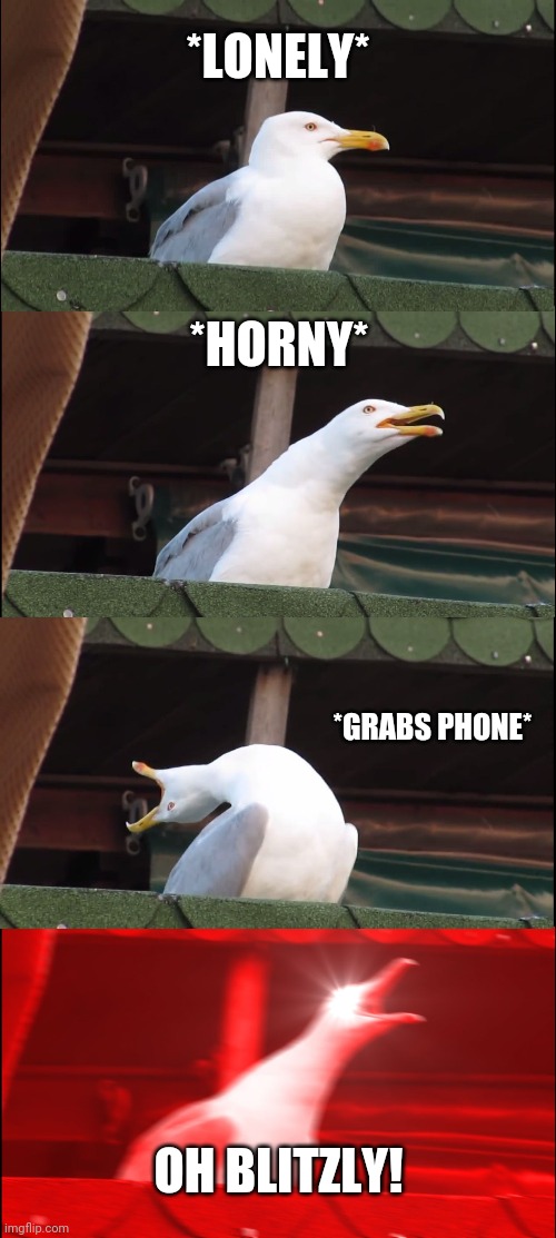 Stolas 101 | *LONELY*; *HORNY*; *GRABS PHONE*; OH BLITZLY! | image tagged in memes,inhaling seagull | made w/ Imgflip meme maker