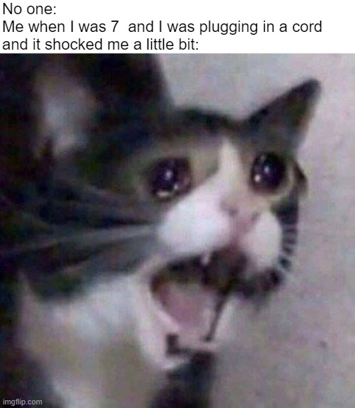 Screaming Cat meme | No one:
Me when I was 7  and I was plugging in a cord and it shocked me a little bit: | image tagged in screaming cat meme | made w/ Imgflip meme maker