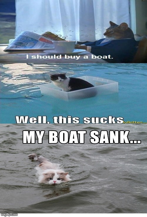 image tagged in memes,i should buy a boat cat | made w/ Imgflip meme maker