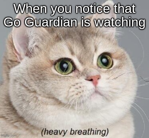 Heavy Breathing Cat | When you notice that Go Guardian is watching | image tagged in memes,heavy breathing cat | made w/ Imgflip meme maker