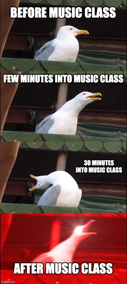 Inhaling Seagull | BEFORE MUSIC CLASS; FEW MINUTES INTO MUSIC CLASS; 30 MINUTES INTO MUSIC CLASS; AFTER MUSIC CLASS | image tagged in memes,inhaling seagull | made w/ Imgflip meme maker