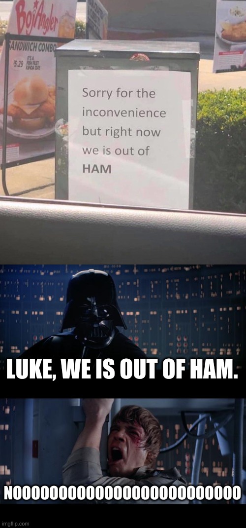 NOOOOOooooooo | LUKE, WE IS OUT OF HAM. NOOOOOOOOOOOOOOOOOOOOOOOOO | image tagged in memes,star wars no | made w/ Imgflip meme maker