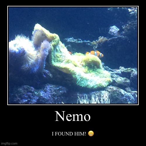Found Nemo | image tagged in funny,demotivationals,nemo,finding nemo | made w/ Imgflip demotivational maker