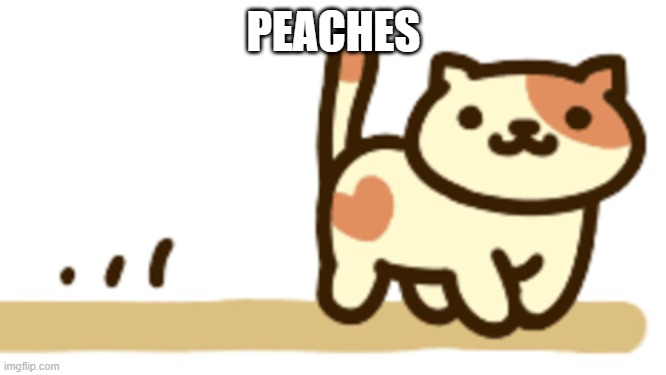 a cat | PEACHES | made w/ Imgflip meme maker