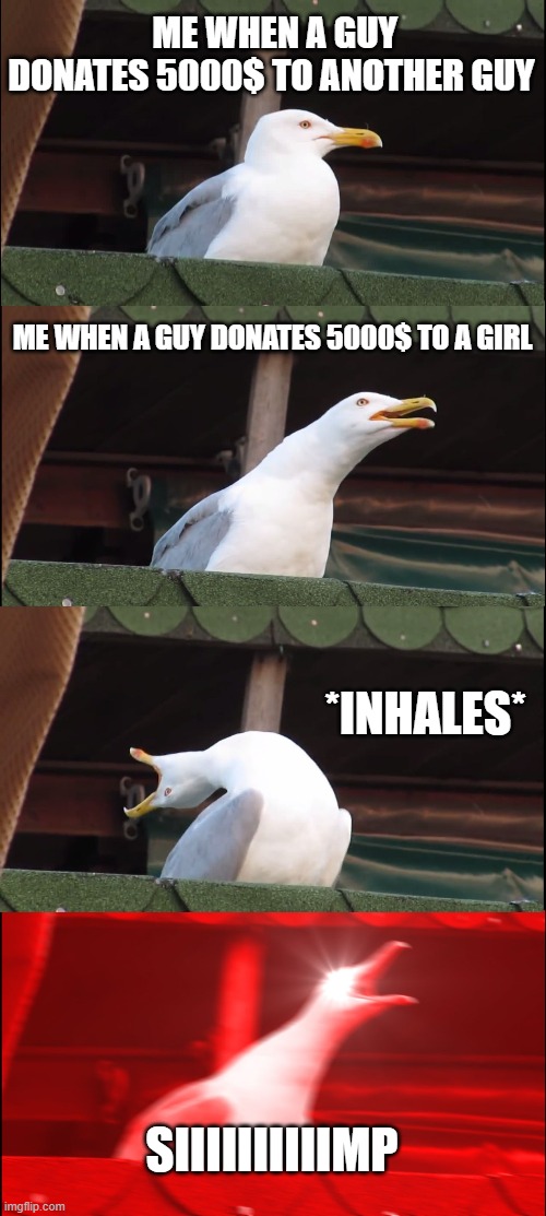 Inhaling Seagull | ME WHEN A GUY DONATES 5000$ TO ANOTHER GUY; ME WHEN A GUY DONATES 5000$ TO A GIRL; *INHALES*; SIIIIIIIIIIMP | image tagged in memes,inhaling seagull | made w/ Imgflip meme maker