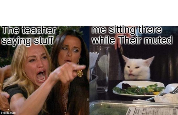 Woman Yelling At Cat | me sitting there while Their muted; The teacher
saying stuff | image tagged in memes,woman yelling at cat | made w/ Imgflip meme maker