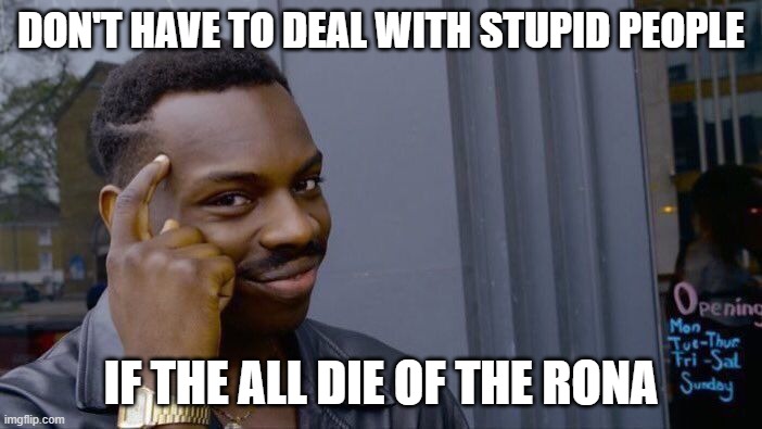 The smart person | DON'T HAVE TO DEAL WITH STUPID PEOPLE; IF THE ALL DIE OF THE RONA | image tagged in memes,roll safe think about it | made w/ Imgflip meme maker