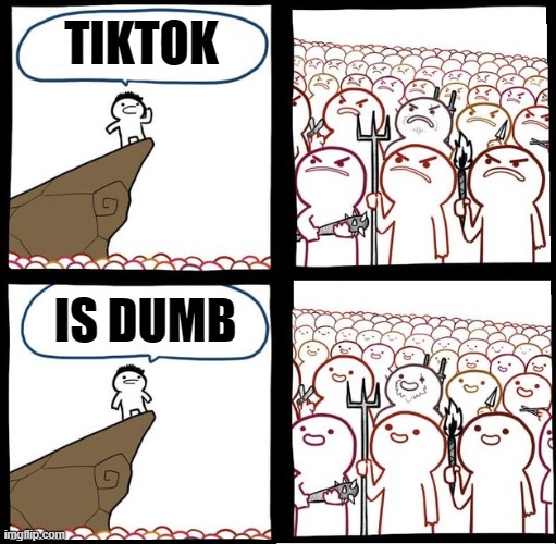 Angry Crowd | TIKTOK IS DUMB | image tagged in angry crowd | made w/ Imgflip meme maker