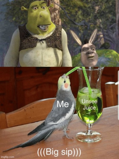 What is this cursed image | image tagged in unsee juice | made w/ Imgflip meme maker