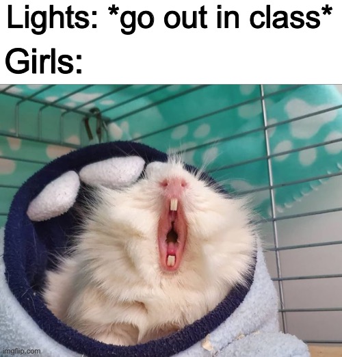 Lights: *go out in class*; Girls: | image tagged in blank white template | made w/ Imgflip meme maker