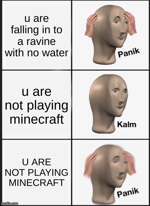 Panik Kalm Panik Meme | u are falling in to a ravine with no water; u are not playing minecraft; U ARE NOT PLAYING MINECRAFT | image tagged in memes,panik kalm panik | made w/ Imgflip meme maker