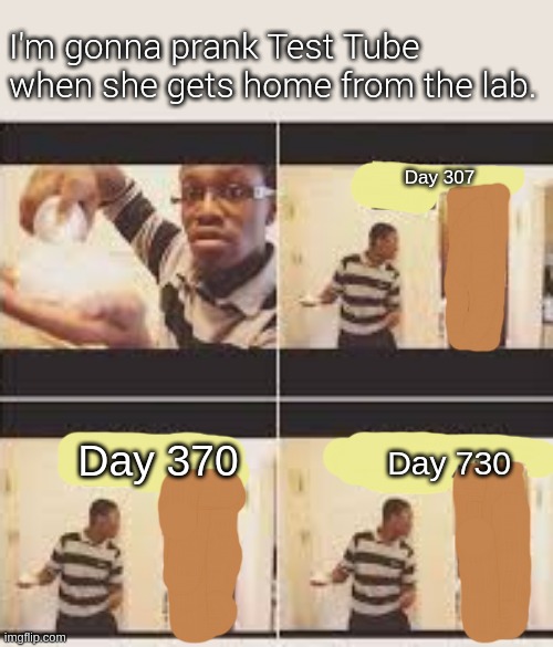 You're Gonna Prank Who? - Insane Pranks 2021 | I'm gonna prank Test Tube when she gets home from the lab. Day 307; Day 370; Day 730 | image tagged in gonna prank x when he/she gets home | made w/ Imgflip meme maker