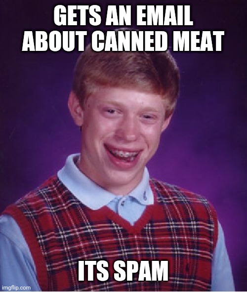 Dont Open It! | GETS AN EMAIL ABOUT CANNED MEAT; ITS SPAM | image tagged in memes,bad luck brian | made w/ Imgflip meme maker