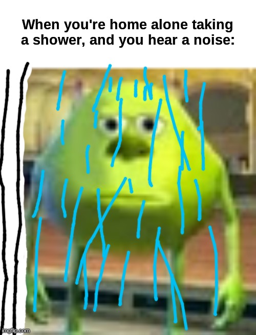 Sully Wazowski | When you're home alone taking a shower, and you hear a noise: | image tagged in sully wazowski | made w/ Imgflip meme maker