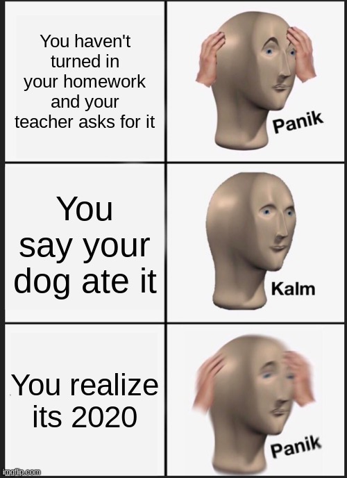 School, ugh.. | You haven't turned in your homework and your teacher asks for it; You say your dog ate it; You realize its 2020 | image tagged in memes,panik kalm panik | made w/ Imgflip meme maker