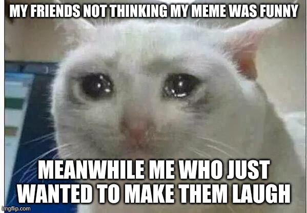 crying cat | MY FRIENDS NOT THINKING MY MEME WAS FUNNY; MEANWHILE ME WHO JUST WANTED TO MAKE THEM LAUGH | image tagged in crying cat | made w/ Imgflip meme maker