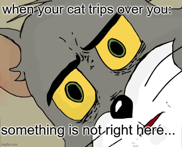 Unsettled Tom | when your cat trips over you:; something is not right here... | image tagged in memes,unsettled tom | made w/ Imgflip meme maker