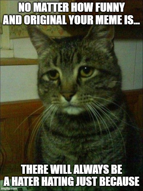 true | NO MATTER HOW FUNNY AND ORIGINAL YOUR MEME IS... THERE WILL ALWAYS BE A HATER HATING JUST BECAUSE | image tagged in memes,depressed cat,meme,funny,original meme,haters | made w/ Imgflip meme maker