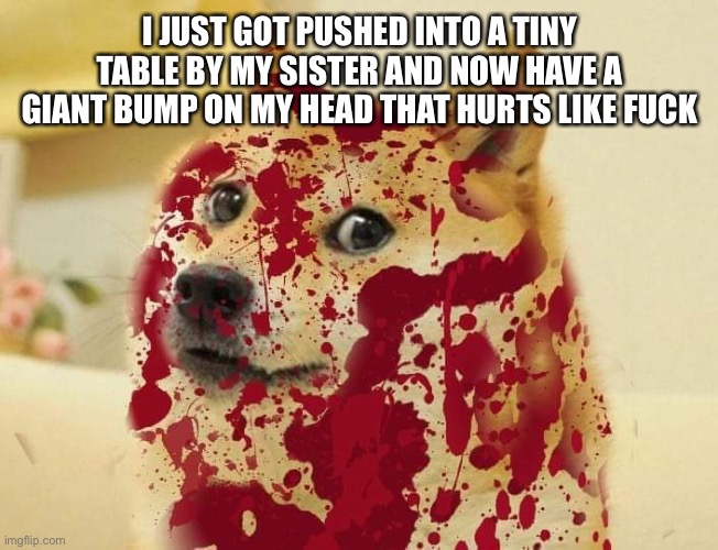 It didn’t bleed I don’t know what the template’s about | I JUST GOT PUSHED INTO A TINY TABLE BY MY SISTER AND NOW HAVE A GIANT BUMP ON MY HEAD THAT HURTS LIKE FUCK | made w/ Imgflip meme maker