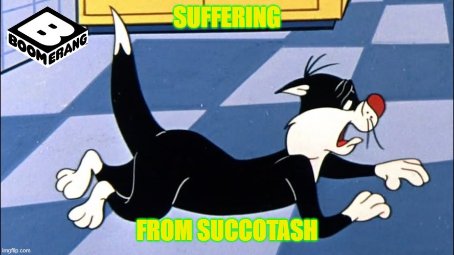 SUFFERING FROM SUCCOTASH | made w/ Imgflip meme maker