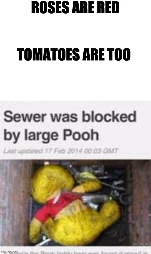Roses are red... | ROSES ARE RED; TOMATOES ARE TOO | image tagged in winnie the pooh,sewer,roses are red | made w/ Imgflip meme maker