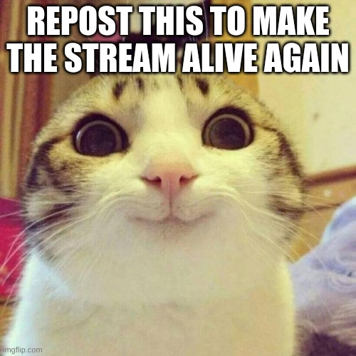 Guys, I don't want the stream to die! | REPOST THIS TO MAKE THE STREAM ALIVE AGAIN | image tagged in memes,smiling cat | made w/ Imgflip meme maker