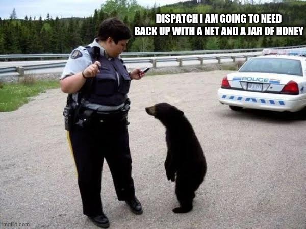 I am going to need a little help | DISPATCH I AM GOING TO NEED BACK UP WITH A NET AND A JAR OF HONEY | image tagged in cop with cub,bear with me here,back the blue,do not feed the bears,my name is yogi,someone lose a bear | made w/ Imgflip meme maker