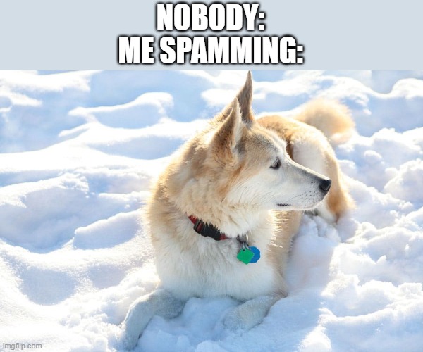 NOBODY:
ME SPAMMING: | made w/ Imgflip meme maker