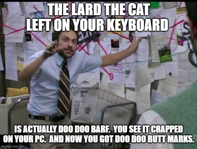 Trying to explain | THE LARD THE CAT LEFT ON YOUR KEYBOARD IS ACTUALLY DOO DOO BARF.  YOU SEE IT CRAPPED ON YOUR PC.  AND NOW YOU GOT DOO DOO BUTT MARKS. | image tagged in trying to explain | made w/ Imgflip meme maker
